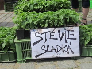 Stevia for people to take home and prepare their own sweetner.